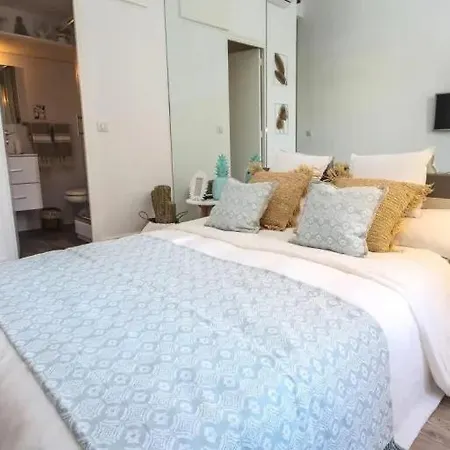 Apartment Miramar-studio Confort Sur La Croisette *
